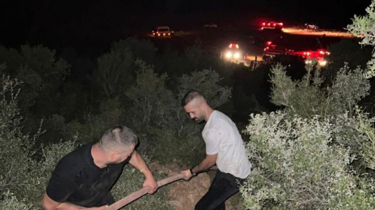 Gaziantep'te orman yangınında meşelik alan zarar gördü