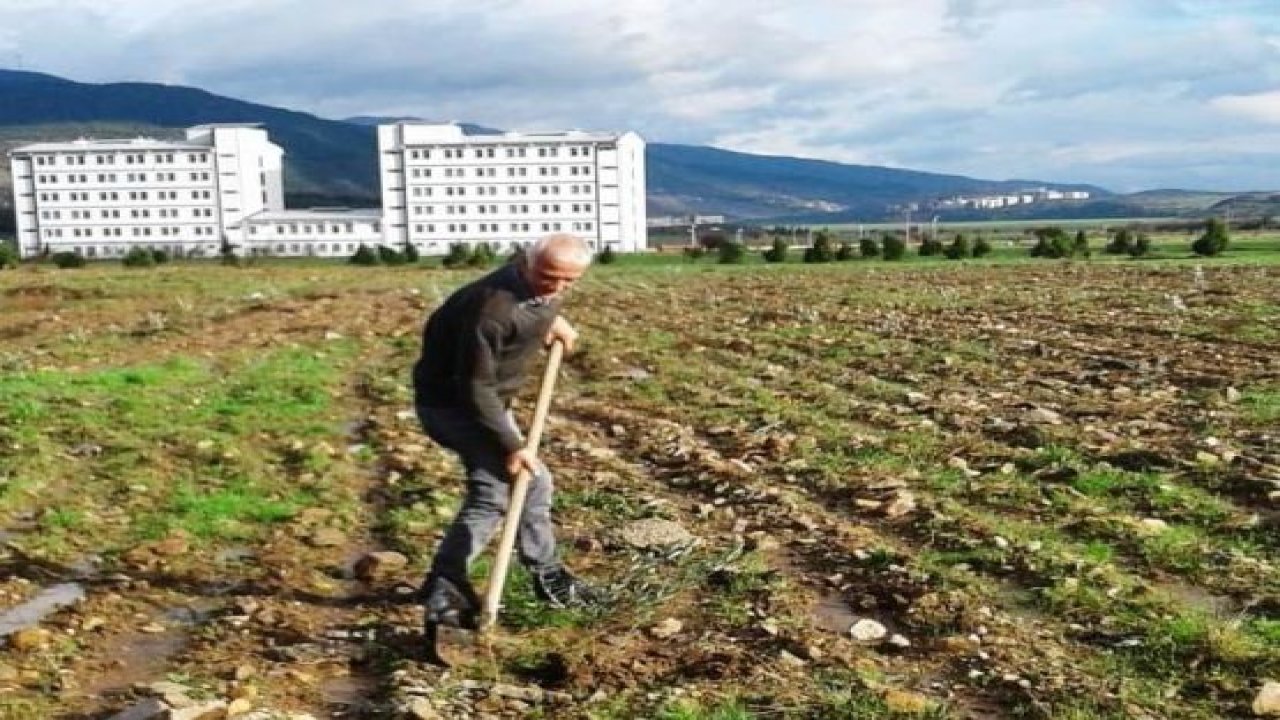 Şehitler anısına yetiştirilen zeytin fideleri toprakla buluştu