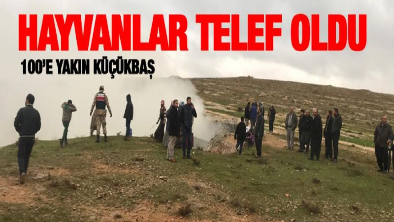 Mağarada çıkan yangında çoban dumandan etkilendi