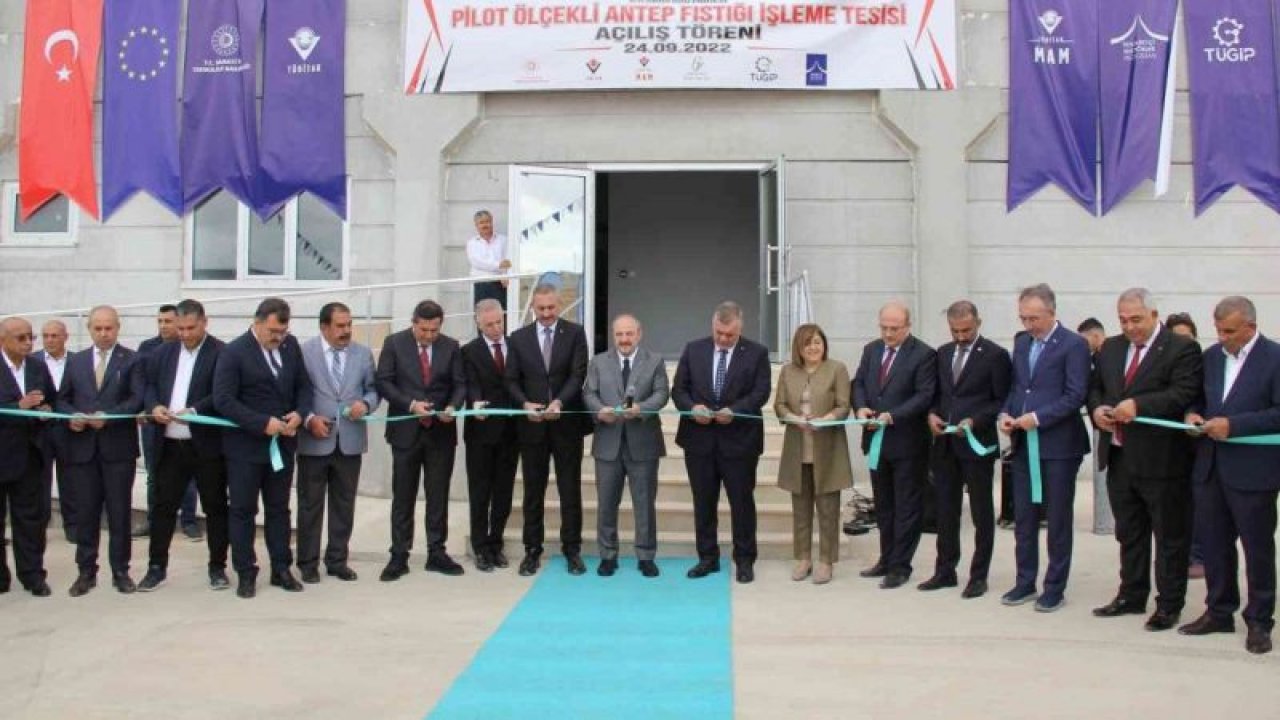 Gaziantep'te Pilot ölçekli Antep Fıstığı işletme tesisi törenle açıldı