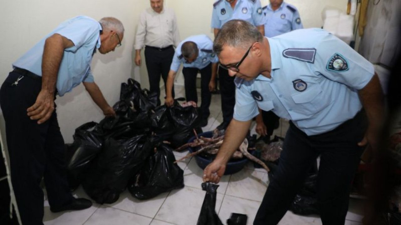 Gaziantep'te bir işyerine yapılan denetimde 1 ton kaçak et ele geçirildi