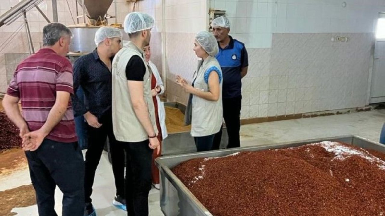 İslahiye'de salça ve baharat üretimi yapan işletmelere denetim