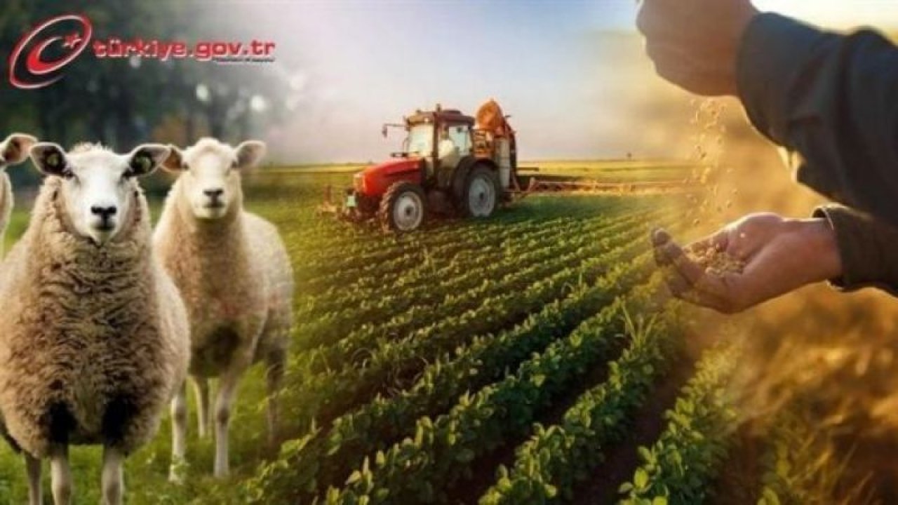 Çiftçinin Beklediği Müjdeli Haber, Ziraat Bankası’ndan Geldi! Tam 500 Bin TL Verilecek! Kadın Çiftçiler Hemen Başvurabilir…