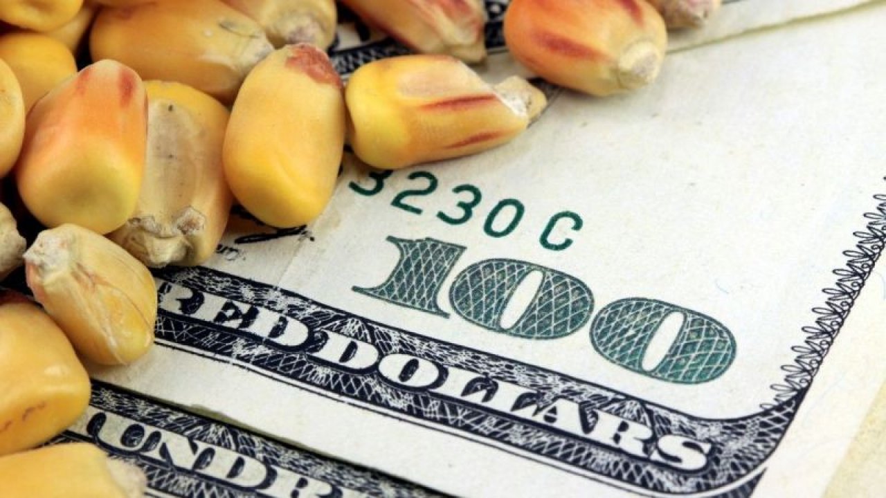 Piyasalarda Bir Hafta Daha Geride Kaldı! Altın, Bakır, Brent Petrol Ve Kakaonun Son Durumu Netleşti! İşte 29 Ekim 2022 Emtia Fiyatları…