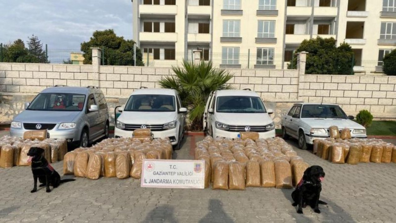 Gaziantep’te DEV OPERASYON! 1 ton 900 kilo kaçak tütün ele geçirildi... İŞTE O ANLAR