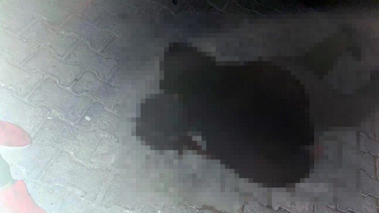 İki kardeşe sokakta infaz...Eve Giderken enselerinden vurulan Mustafa Avcı (43) ve kardeşi Cebrail Avcı (30)  hayatını kaybetti....VİDEO HABER