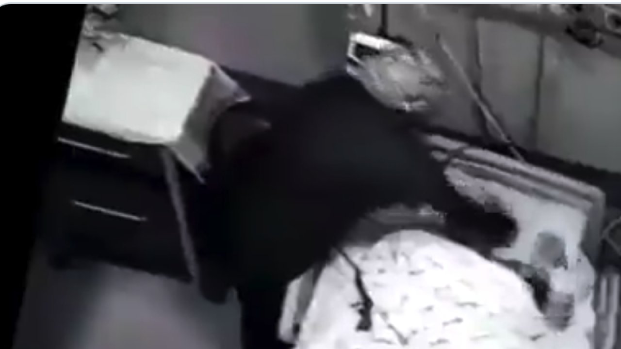 Skandal görüntülerin ardından Tokat Medical Park Hastanesinin faaliyetleri durduruldu! Çalışanlar karara tepki gösterdi: Asgari ücretle zor geçiniyorum... Kirası, kredisi olanlar var