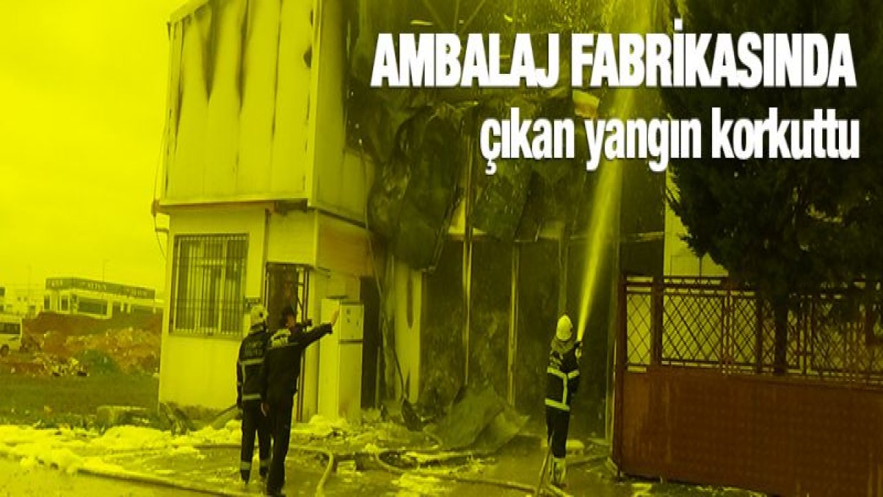 Ambalaj fabrikasında çıkan yangın korkuttu
