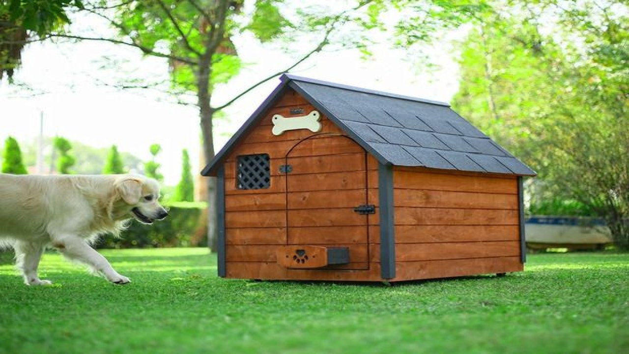 Köpek Kulübesi Kullanım Alanları