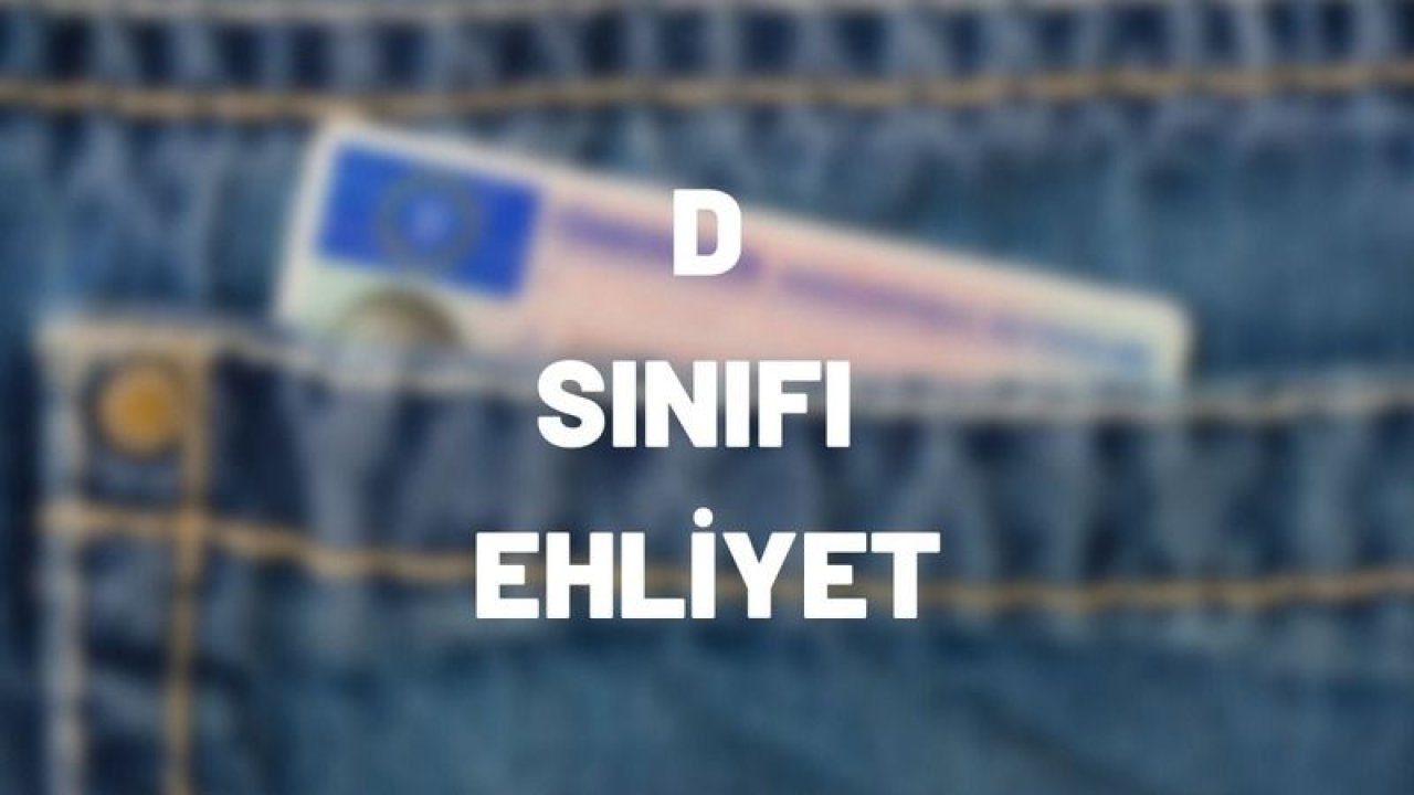 D Sınıfı Ehliyet Hangi Araçları Kullanır?