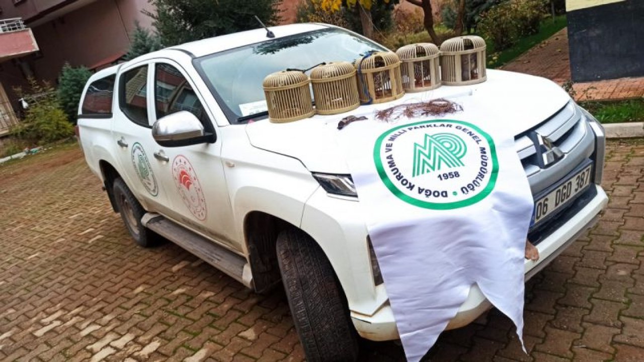 Gaziantep'te kaçak keklik avlayan 3 kişiye idari para cezası kesildi