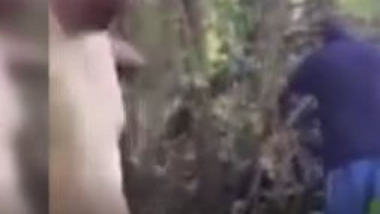 Meksika’da küçük uçak düştü: 2 yaralı