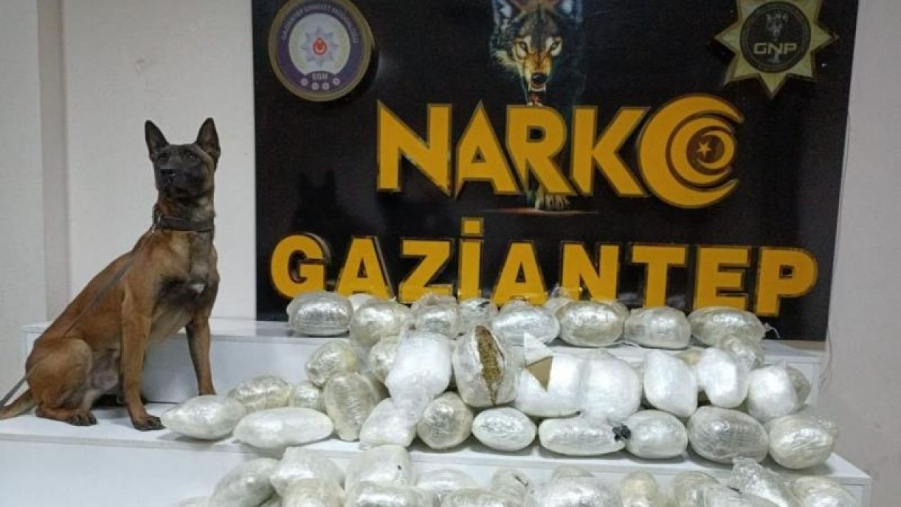 Gaziantep Emniyetine Sosyal Medyadan Atılan Mesaj Gaziantep'te Uyuşturucu Olaylarının Ne Boyuta Geldiğini Gösterdi! Gaziantep Düztepe mahallesine 10 Bin Kere Uyuşturucu OPERASYONU yapıldı!