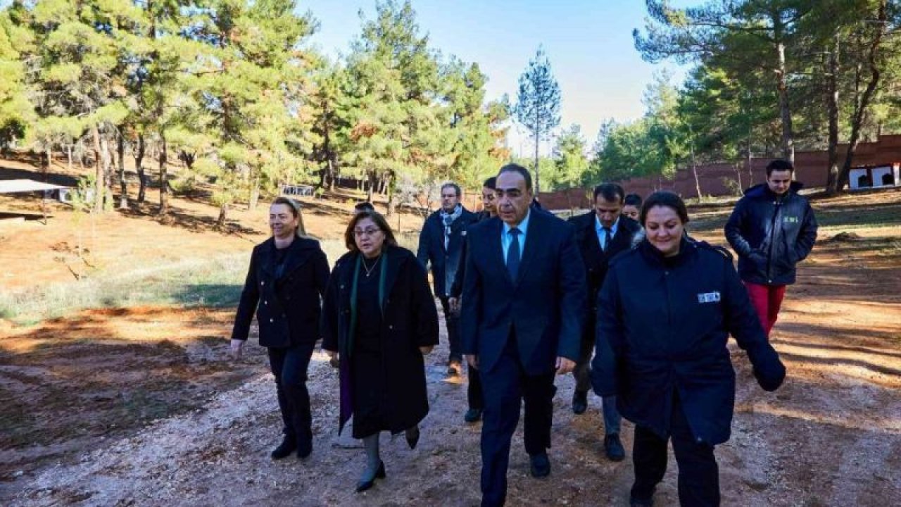 Gaziantep Büyükşehir Belediyesi sokak hayvanlarını “Doğal Yaşam Alanı” ile rehabilite edecek