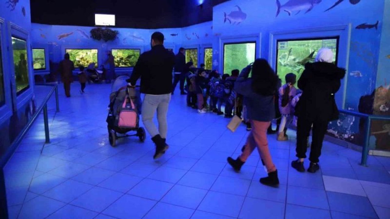 Gaziantep’te yırtıcı hayvanlar için safari park kurulacak