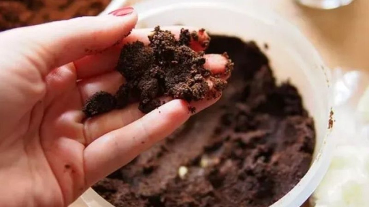 İç Organlara Zarar Veriyor! İnsanları Ölüme Sürükleyen O Gıdalar…