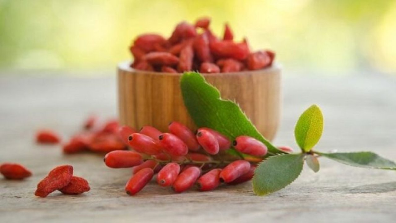 Kimse Bu Kadar Faydalı Olduğunu Tahmin Bile Etmiyordu! Araştırma Sonuç Verdi, Berberinin Pek Çok Hastalığa İyi Geldiği Ortaya Çıktı!