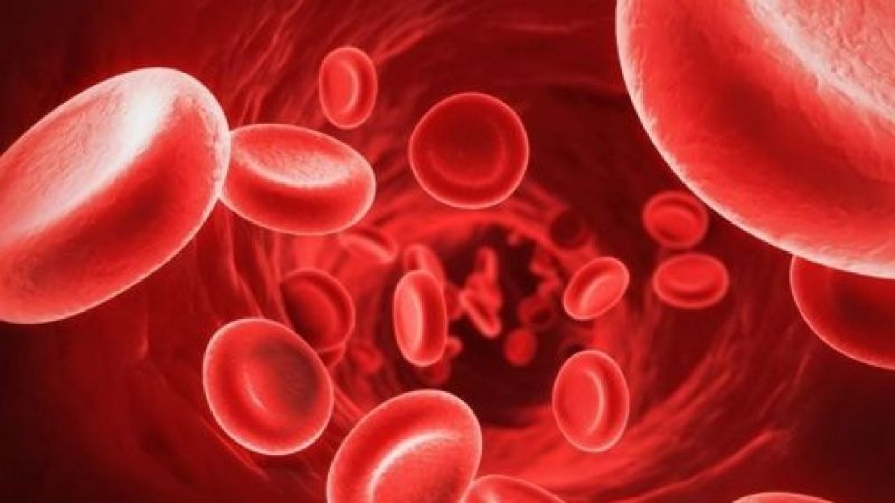 Ferro Sanol Şurup Ne İşe Yarar, Nasıl Kullanılır? Fiyatı 2023