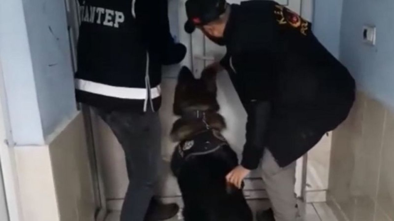 Gaziantep bir iş yerinde yapılan operasyonda 2 bin 175 litre kaçak akaryakıt, bin 640 adet kaçak sigara, 5 kilo 740 gram nargile tütünü ele geçirdi