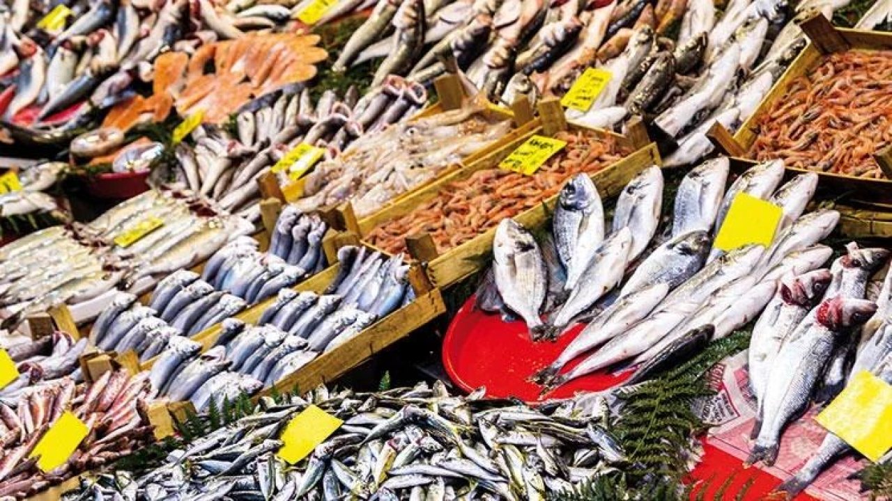 Denizden Babam Çıksa Yerim Demeyin! Balık Tüketiminde Büyük Tehlike! Kanser Riskini Arttırıyor!