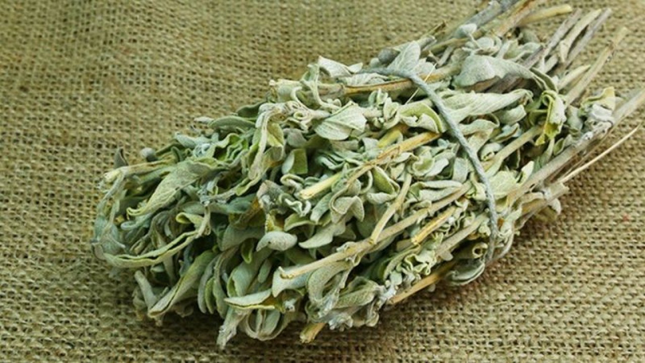 Beyni Güçlendiren Bitki Açıklandı! Bu Doğal Bitki ile Hafızanızın Sınırlarını Zorlayabilirsiniz!