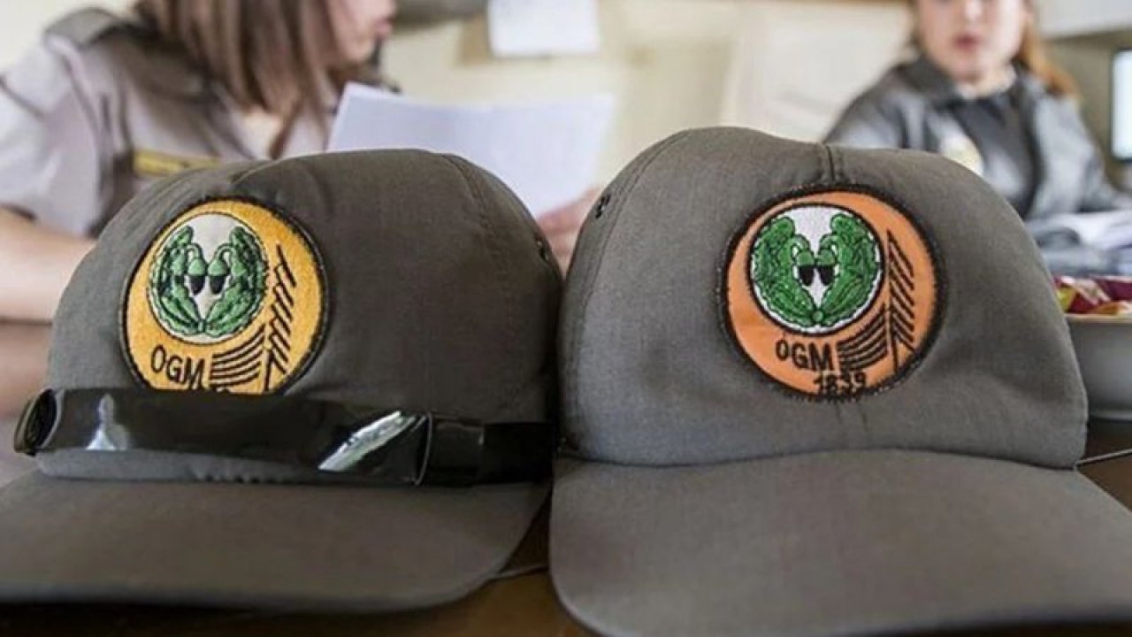 Son gün yaklaşıyor! OGM, 1.128 personel alımı için başvuruları almaya devam ediyor! İşte OGM personel alımı ekranı ve şartları
