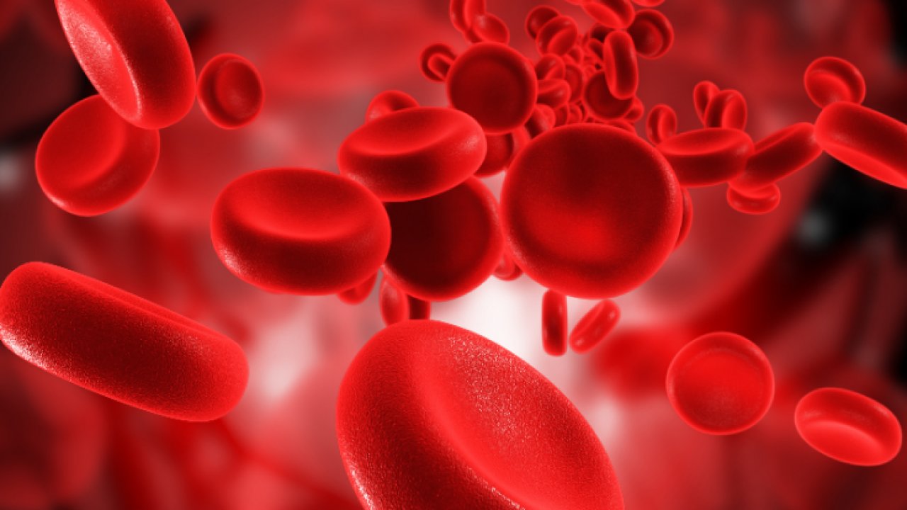 Hangi Kan Grubunun Çocuk Sahibi Olma İhtimali Düşük? Uzmanlar Açıkladı!