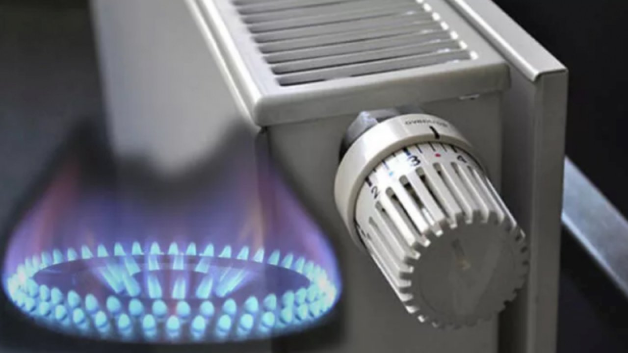 Bakan Dönmez: "Doğalgazı bilerek vermiyoruz, vermememiz gerekir”