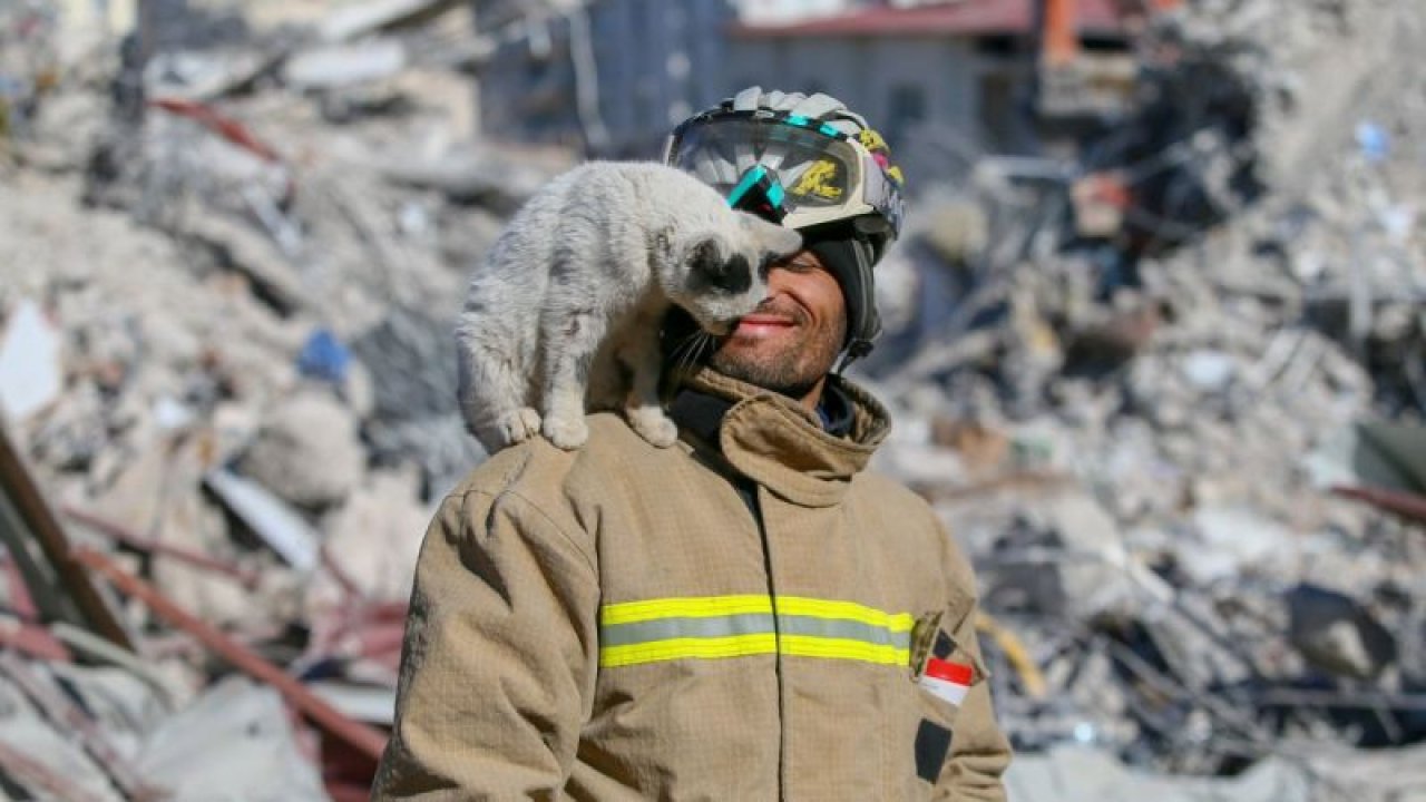 Gaziantep'te Göçükten çıkarılarak "Enkaz" adı verilen kedi, arama kurtarma ekibinin maskotu oldu
