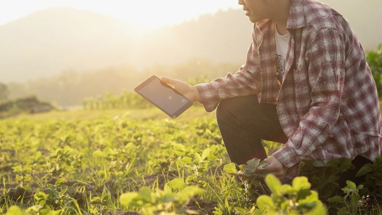Depremzede Çiftçiler İçin Yeni Karar! Ziraat Bankası’ndan Kredi Borçları İçin Erteleme Kararı!