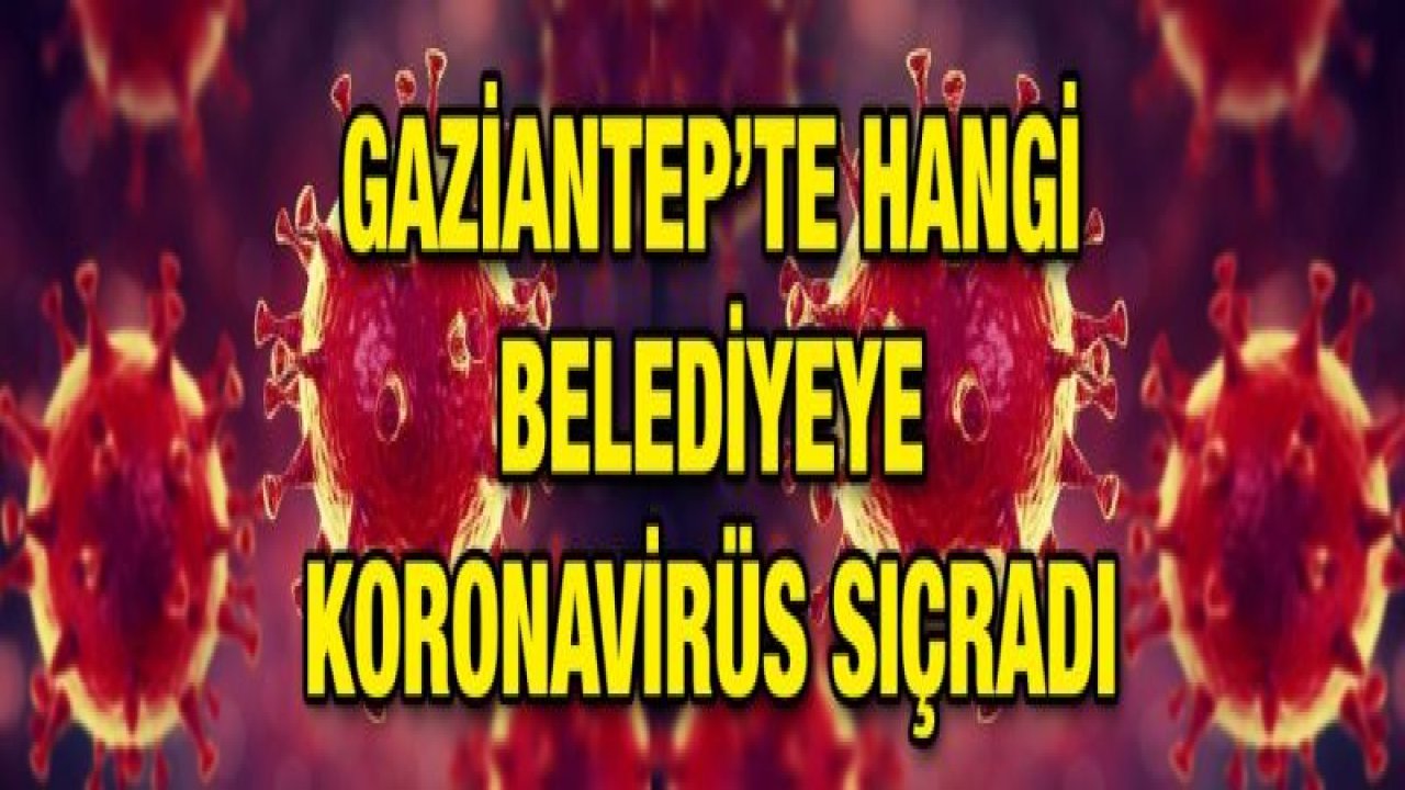 Gaziantep’te hangi belediyeye koronavirüs sıçradı