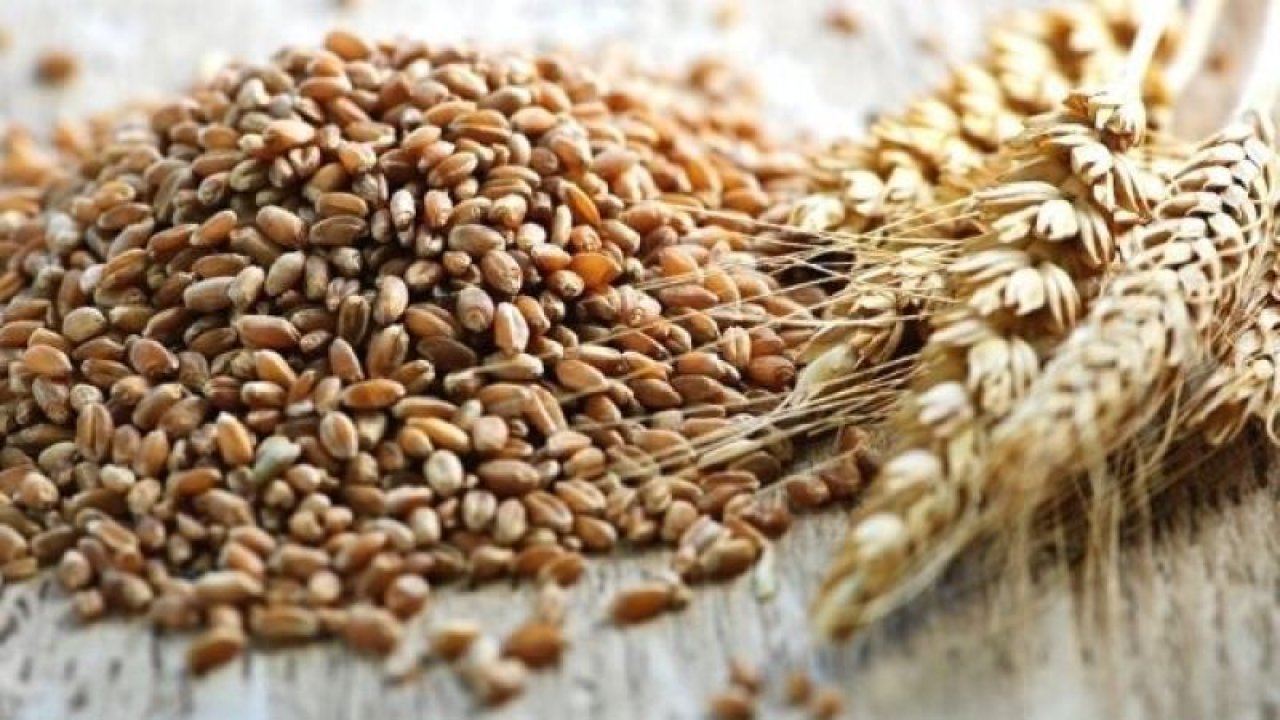 Hububat Ürünlerinin Fiyatları Yine Değişti! 8 Mart 2023 Gaziantep Hububat Ürünleri Fiyatları Güncellendi!