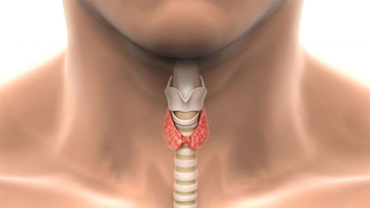 Bu Kanser Türü Kadınlarda Daha Sık Görülüyor! Uzman İsim Bilgi Verdi!