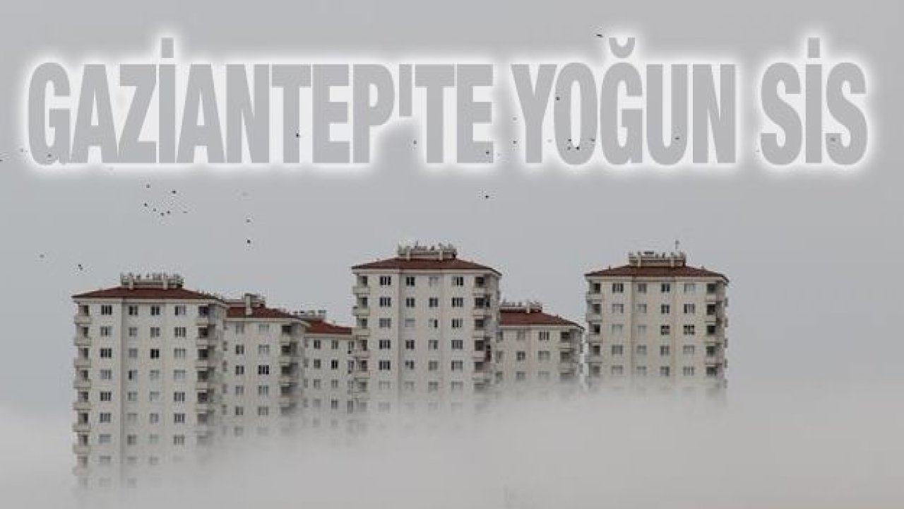 Gaziantep'te yoğun sis