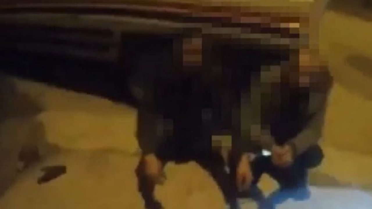 Gaziantep'te kablo çalan hırsızlar bekçilere suçüstü yakalandı