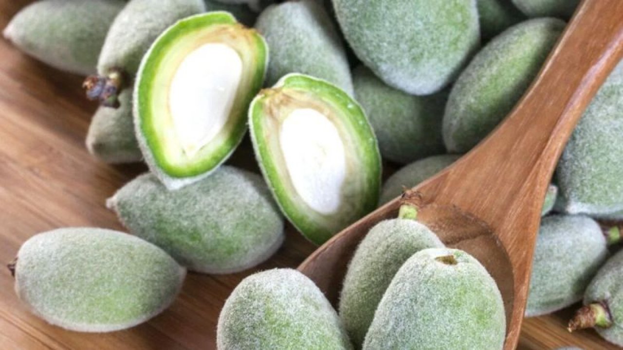 Yaşlanmayı Geciktirici Etkisi Ortaya Çıktı! Altın Kadar Değerli Olan Çağlanın Zengin Probiyotik İçeriği!