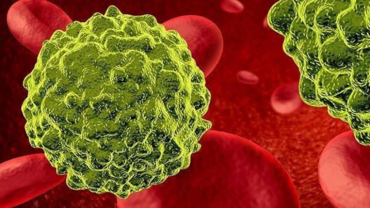 1-7 Nisan Kanserle Savaş Haftası! İşte kansere dair bilinmeyenler!