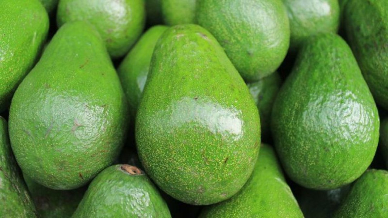 Kanserle savaşta mucizevi etkiler sunan Avokado: Göz sağlığını, kalbi koruyor!