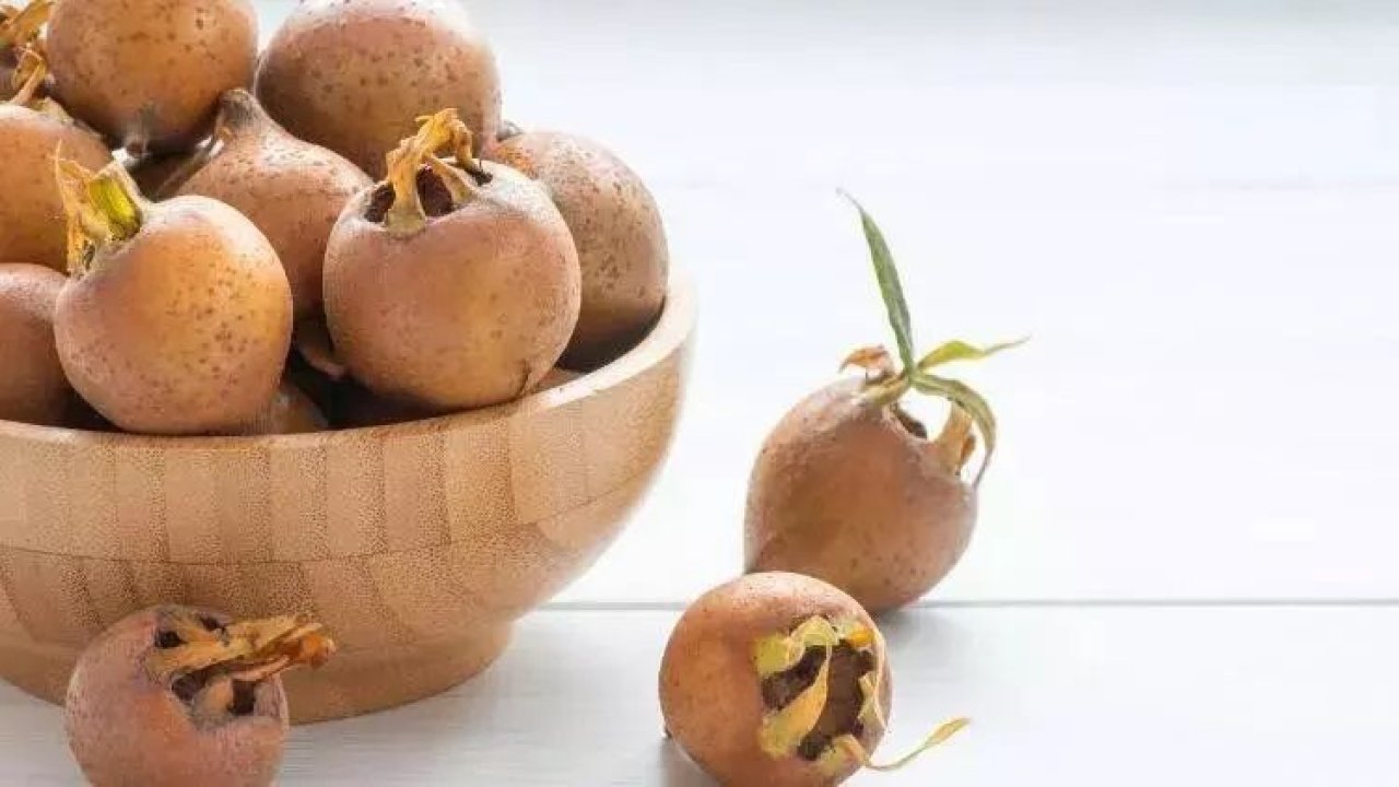 Faydaları Saymakla Bitmiyor! Muşmula Bitkisinin Kanser Önleyici Etkisi Ortaya Çıktı! Aynı Zaman Da Toksinlerden Arındırıyor!