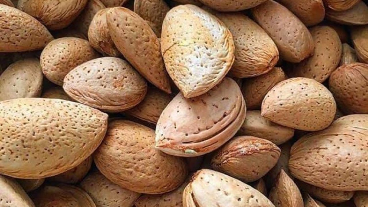 Bilim Dünyasında En Faydalı Besin Olarak Açıklandı! Bir Avuç Bademin Mucizevi Etkisi!