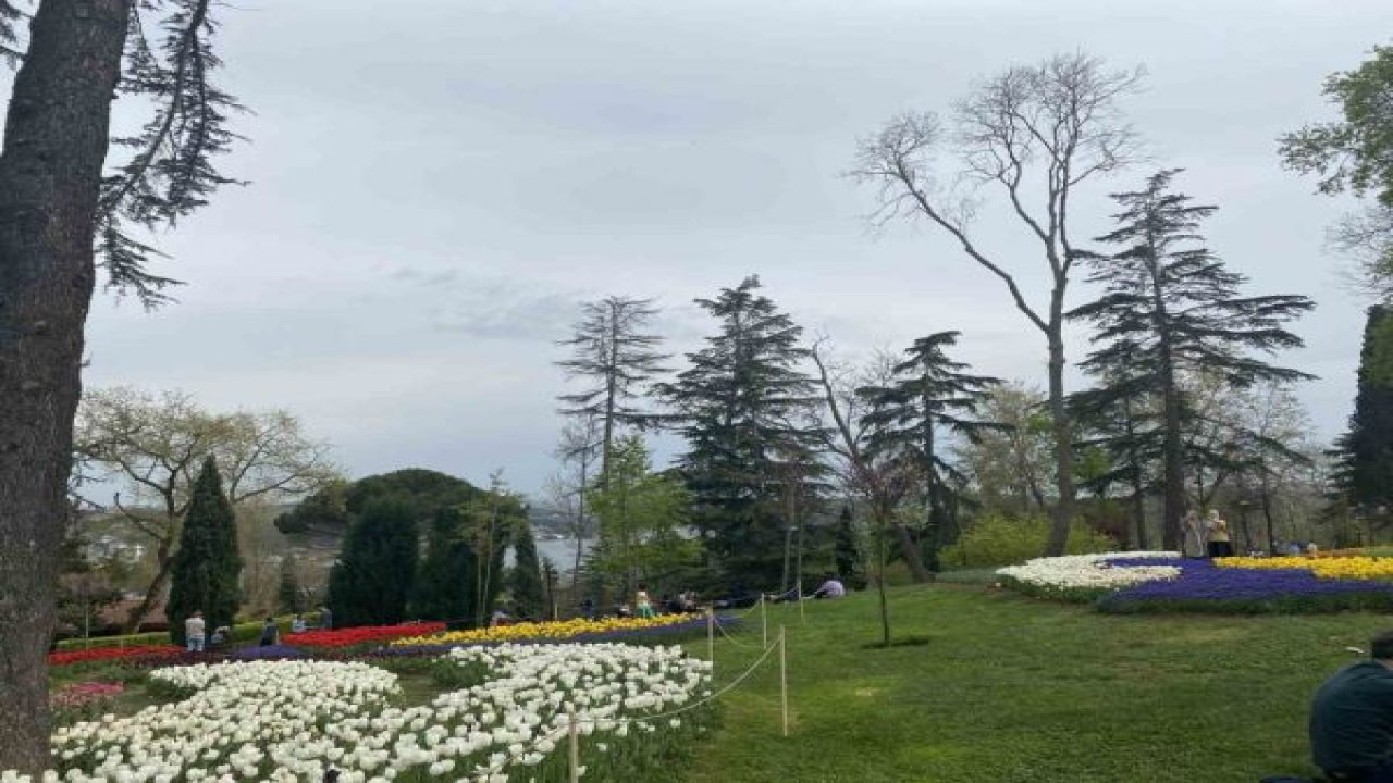 ’Lale Bayramı’ Emirgan Korusu’nda başladı