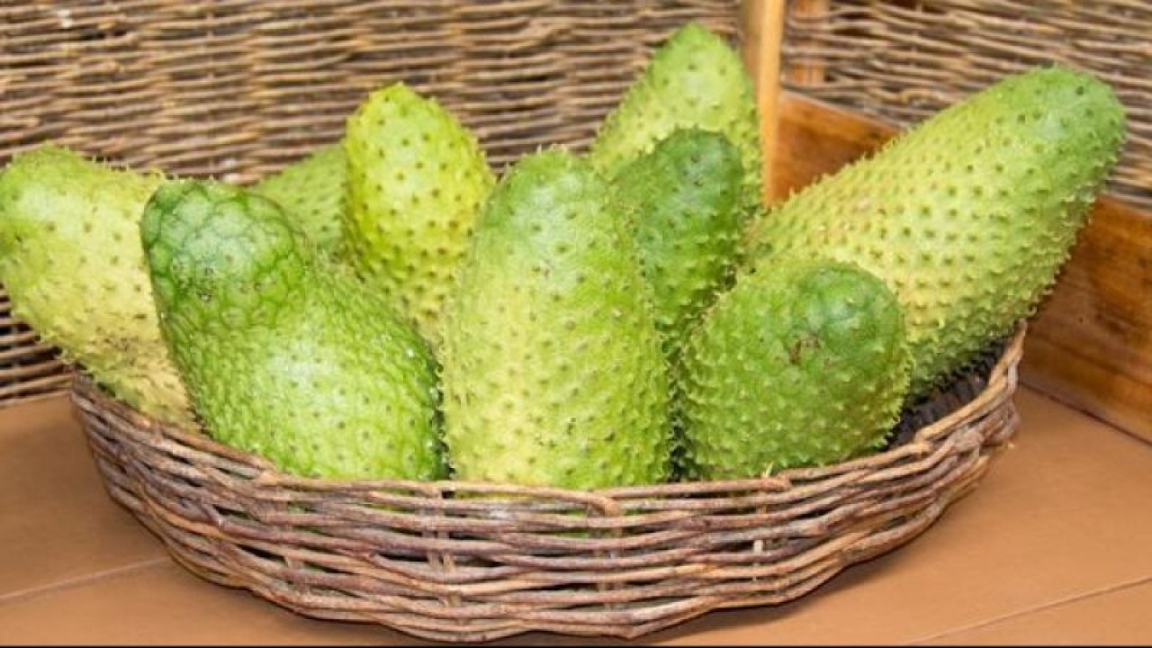 Kansere dair araştırmalar devam ediyor! Bu meyvenin tüketimi ise kanseri…