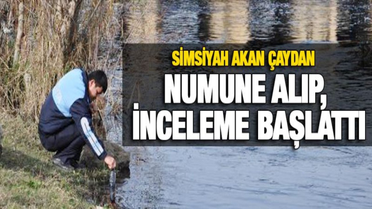 Karasu Çayı siyah akıyor