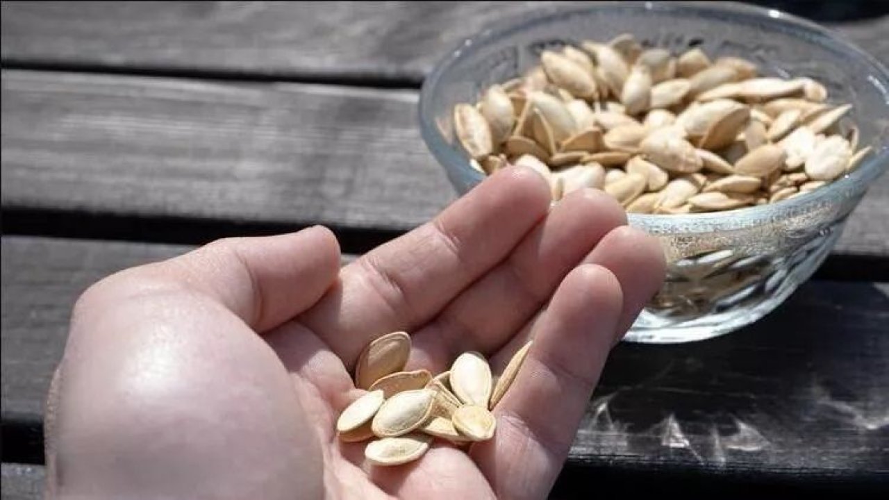 Sevilerek tüketilen kabak çekirdeğinin çok bilinmeyen yanları! Bağırsaklar için ciddi zarar olabilir!