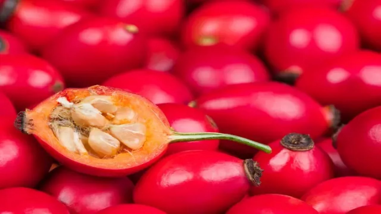 Limondan Daha Fazla C Vitamini Bulunduruyor! Kuşburnu’nun Birçok Hastalık İçin Etkisi Var!