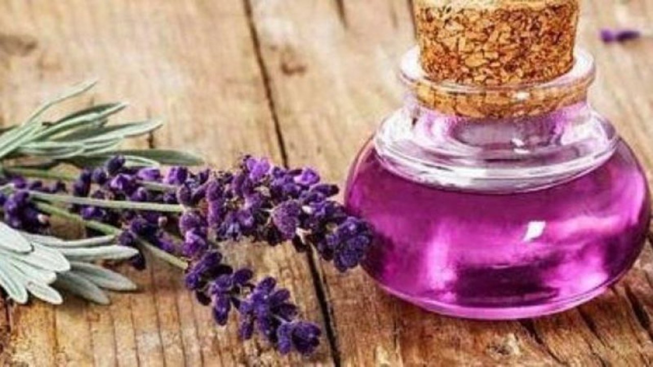 İster Çayını Yapın İçin İster Vücudunuza Sürün! Her Evde Bulunması Gereken O Bitki: Lavanta