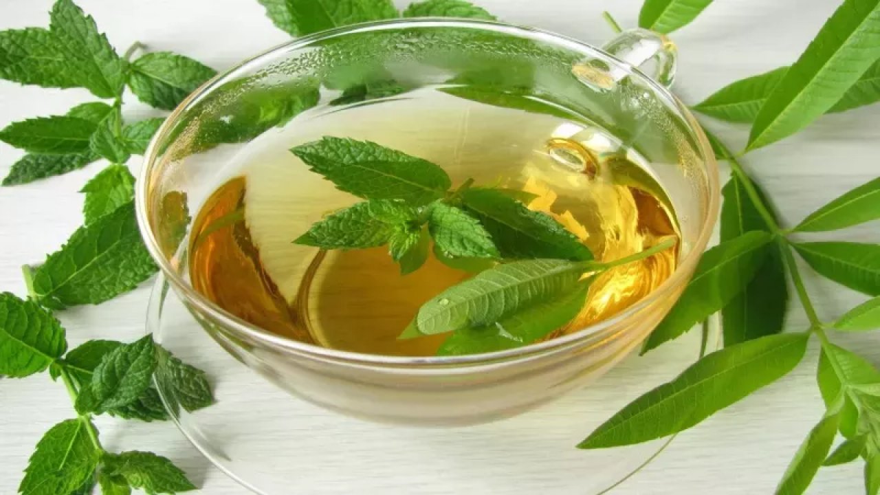 Kanserli Hücreyi Yok Ettiği Açıklandı! Limon Otunun Faydaları Saymakla Bitmiyor!