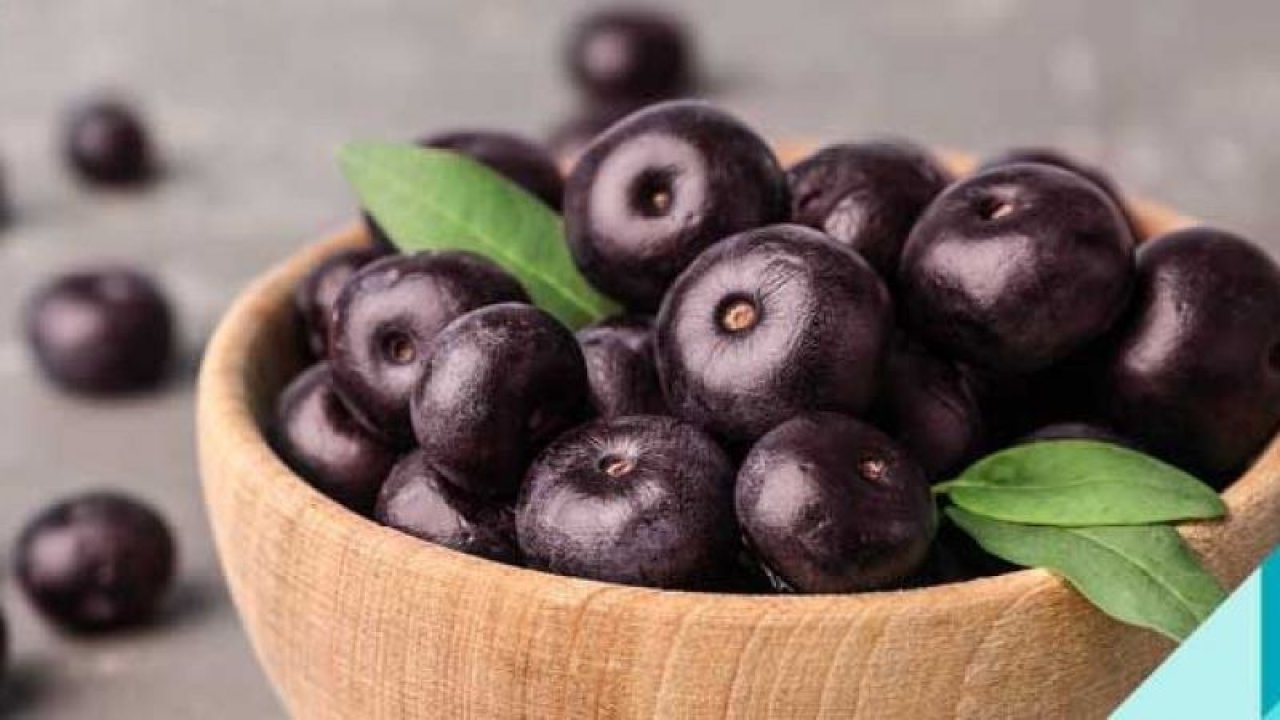 Acai Meyvesi Kanserli Hücreyi Ortadan Kaldırıyor! Artan Kanser Hastalıklarına Karşı Doğru Bir Beslenme Benimseyin!