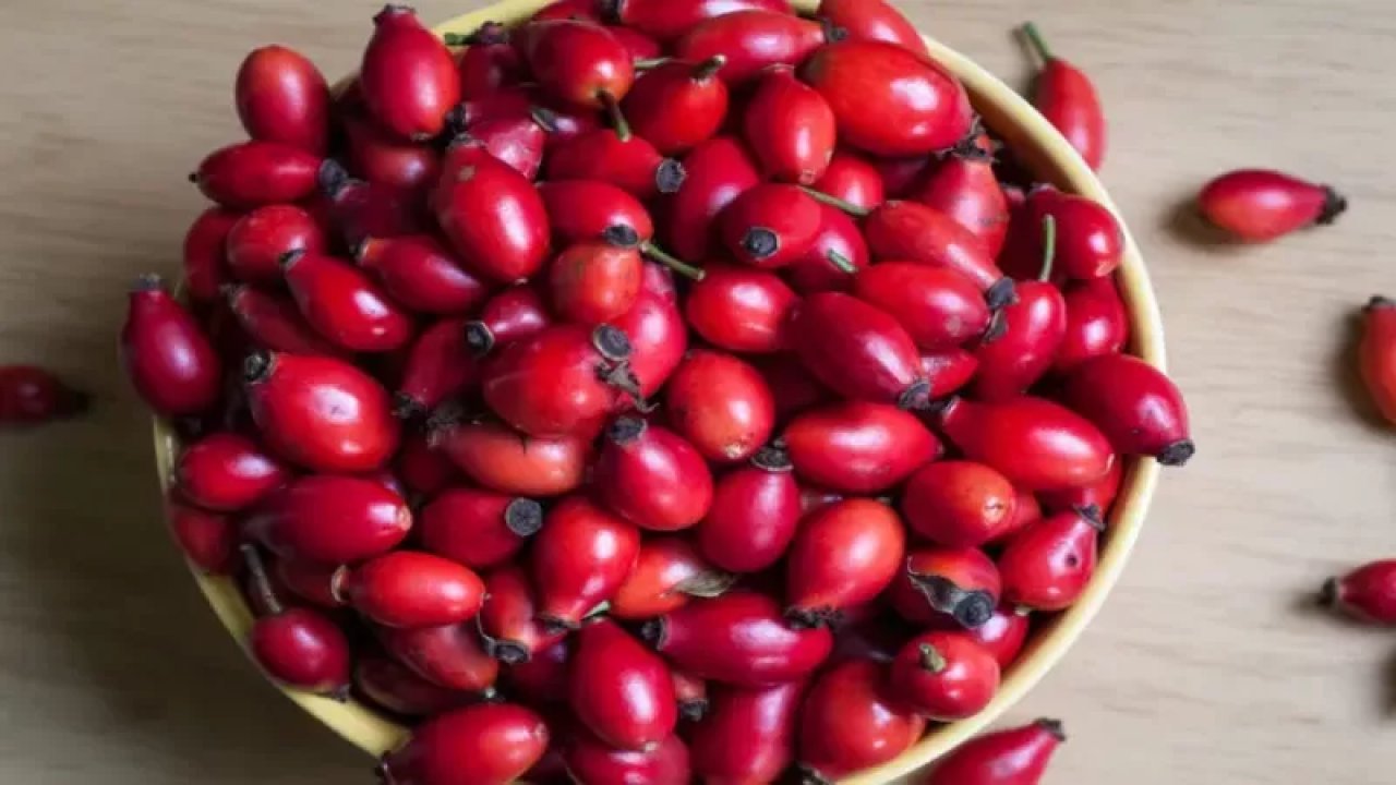 Her Gün 1 Bardak İçince Hastalıktan Eser Kalmayacak! Kuşburnu Çayı!