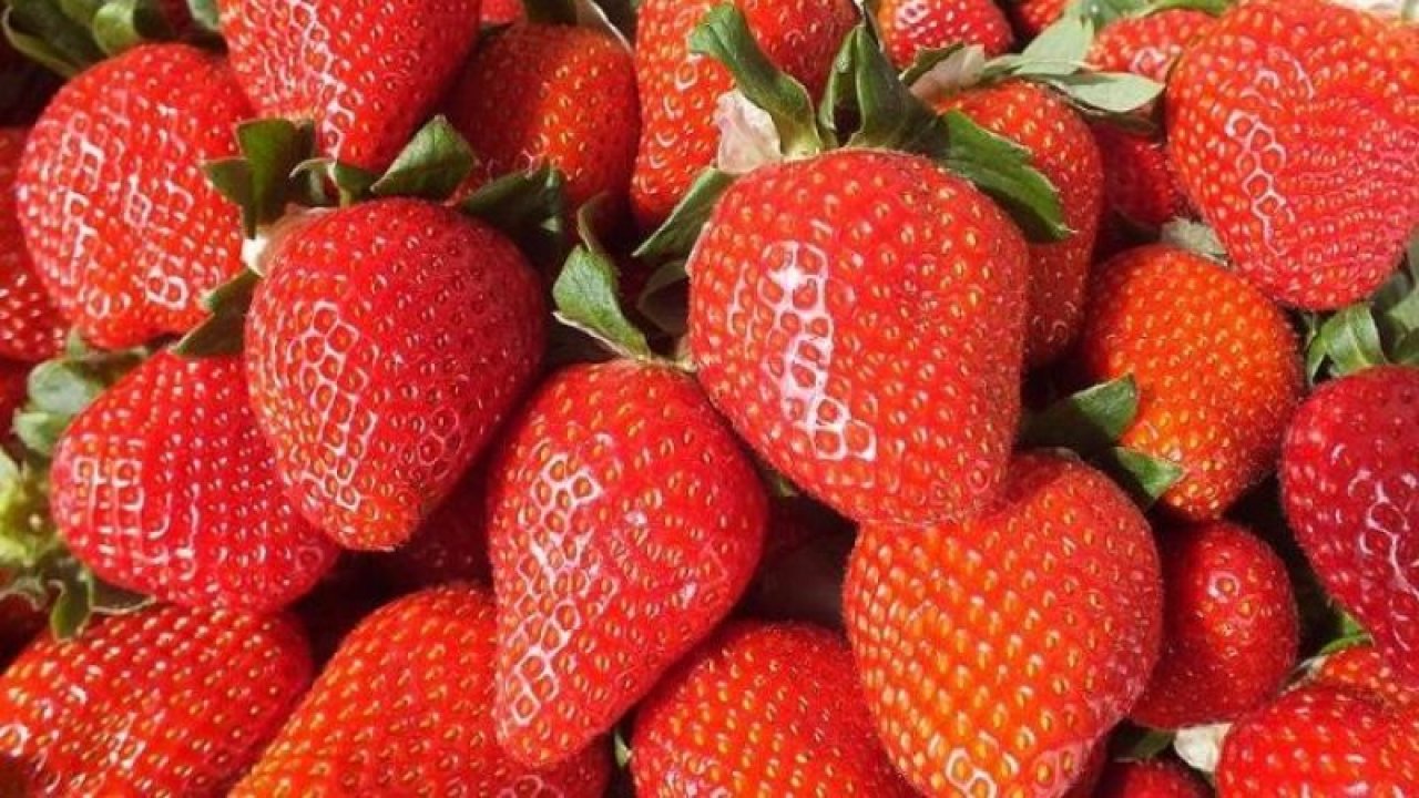 Çilekleri doğru temizle, besin değerlerini koru!